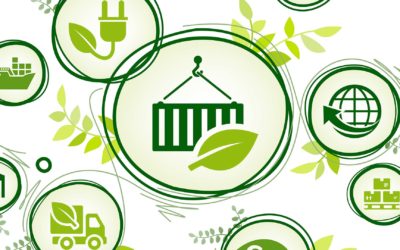 The Growing Importance of Sustainability in the Supply Chain