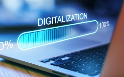 Managing the Speed of Digitalization: Part I