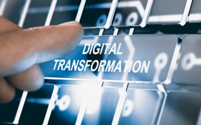 Managing the Speed of Digitalization: Part II