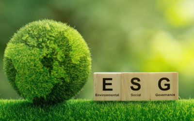 Making the Commitment to ESG in Supply Chain